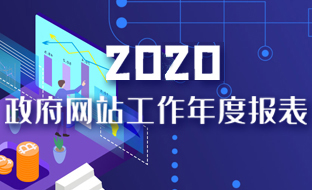 深圳市罗湖区政府网站2020年度工作报表