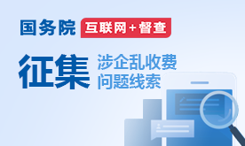 国务院互联网+督查