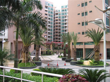 渔民村服务中心+-+深圳市罗湖电子政务网