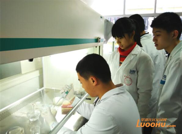 学生在课外开展课题研究（资料图片）.jpg