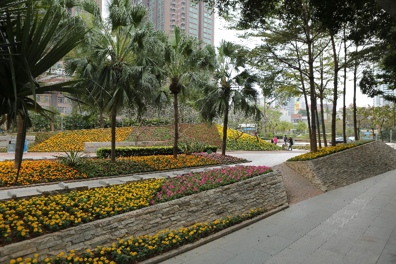 花城建设-嘉宾公园10.jpg