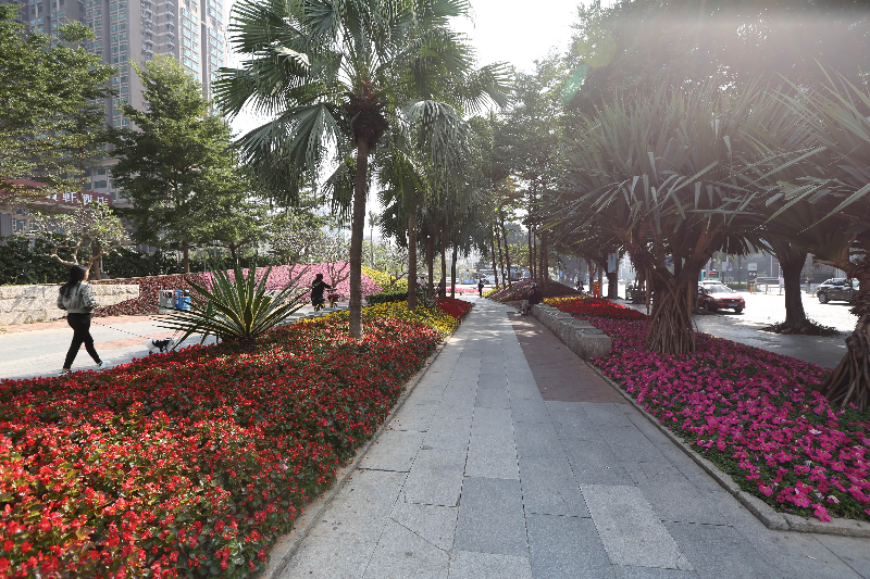 花城建设-嘉宾公园8.jpg