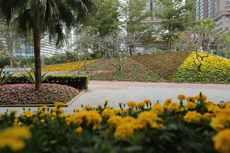 花城建设-嘉宾公园3.jpg