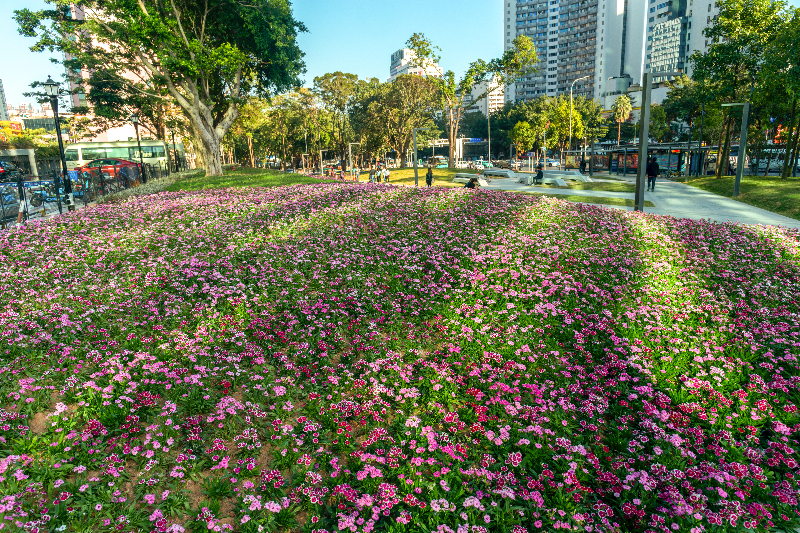 时代社区公园-02.jpg