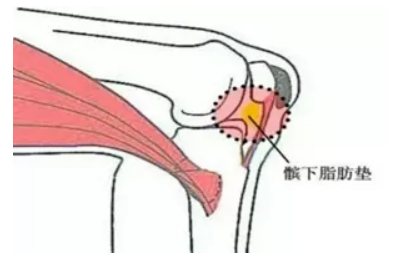 自动转存图片