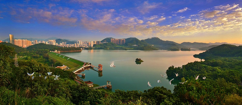 深圳水库(首选).jpg