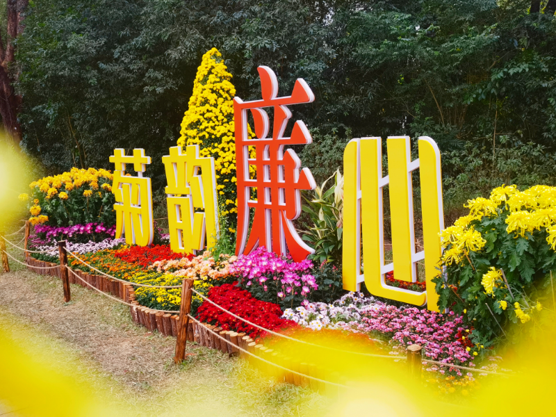 已编辑图片