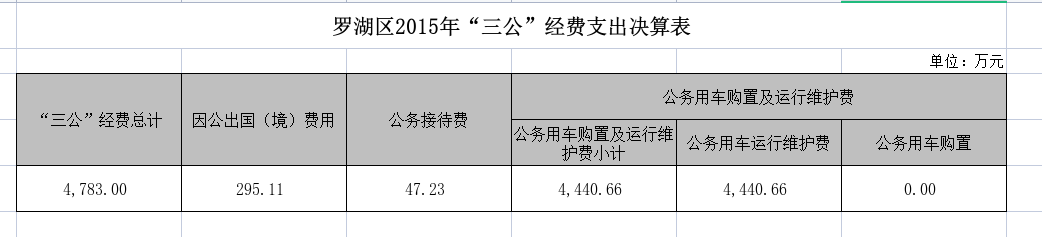 罗湖区2015年“三公”经费支出决算表.png
