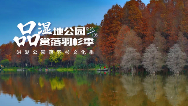 微信图片_2025-01-03_174139_909.png