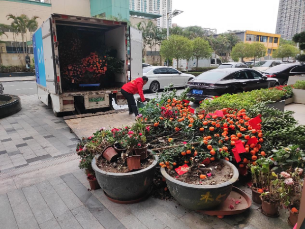 已编辑图片