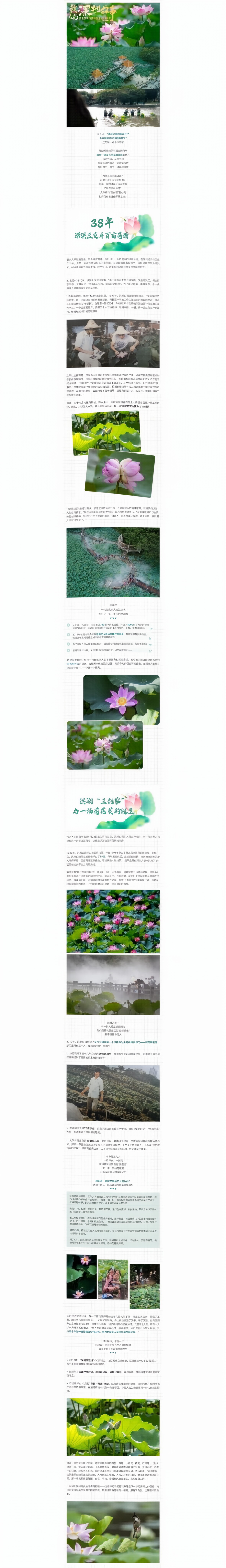 逆袭！百亩荷塘居然是这样“卷”来的？.jpg