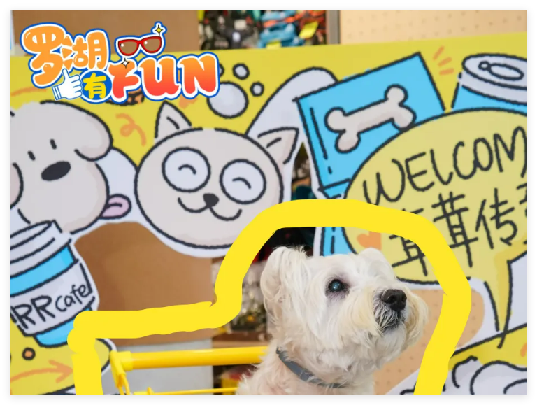 别人家的“毛孩子”都在哪儿“疯”？这些首店我挖到了！