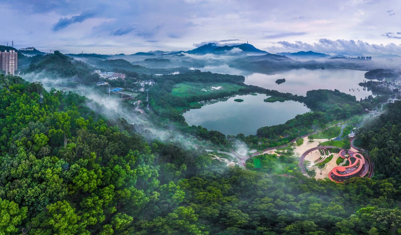 Shenzhen unveils master plan for Greater Wutong Ecological Integration Zone