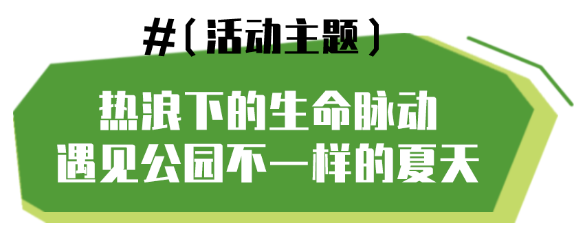 2026-07-02_10-54-45.png