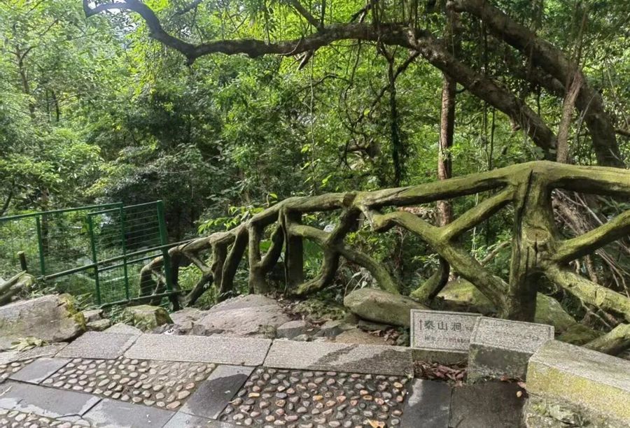 梧桐山2.jpg