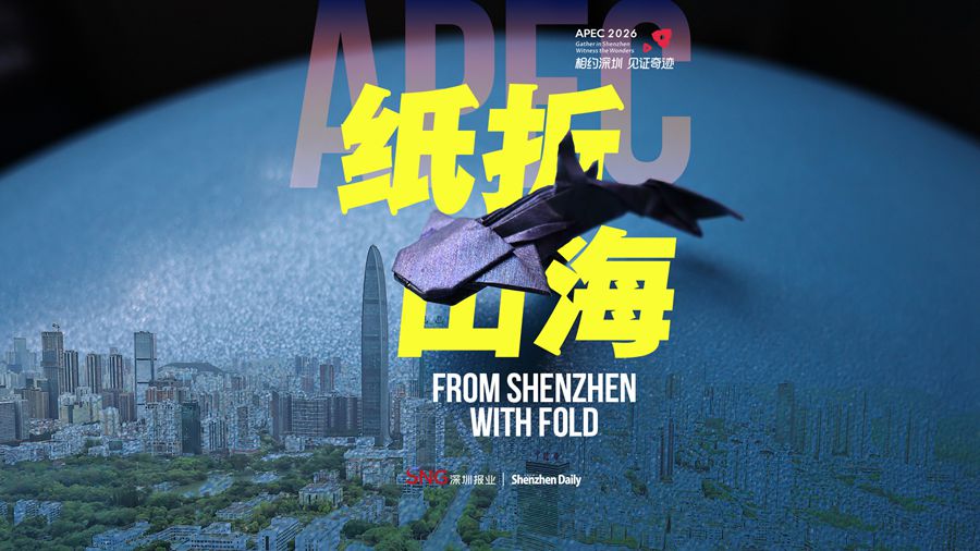 Art themed on migratory marine species makes a special debut on APEC stage