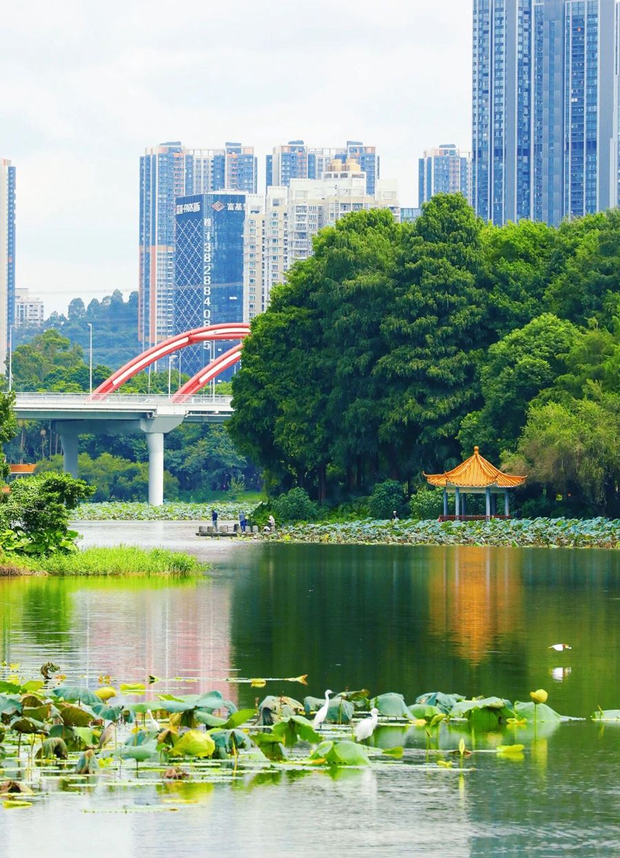 Honghu Park