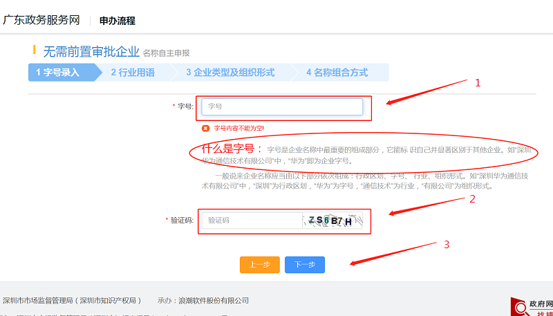 根据实际情况选择申报种类进入后,进行“字号录入”,点击下一步。